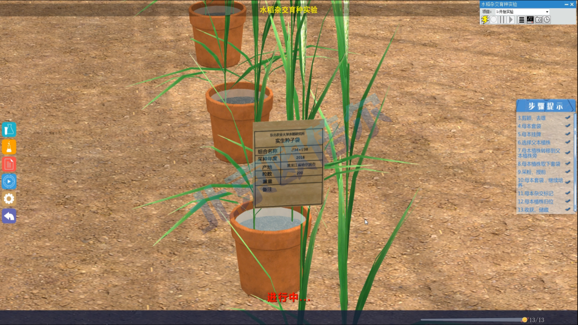 3D水稻杂交育种虚拟仿真软件