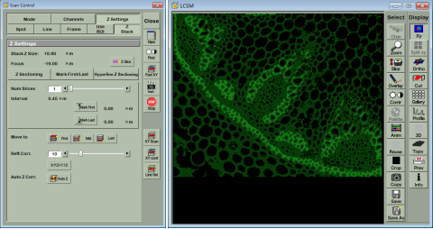 激光扫描共聚焦显微镜虚拟仿真软件