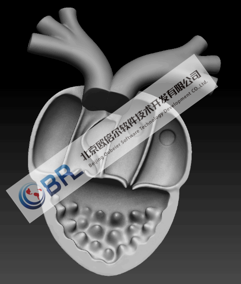 心脏电生理3D生物学虚拟仿真实验室软件