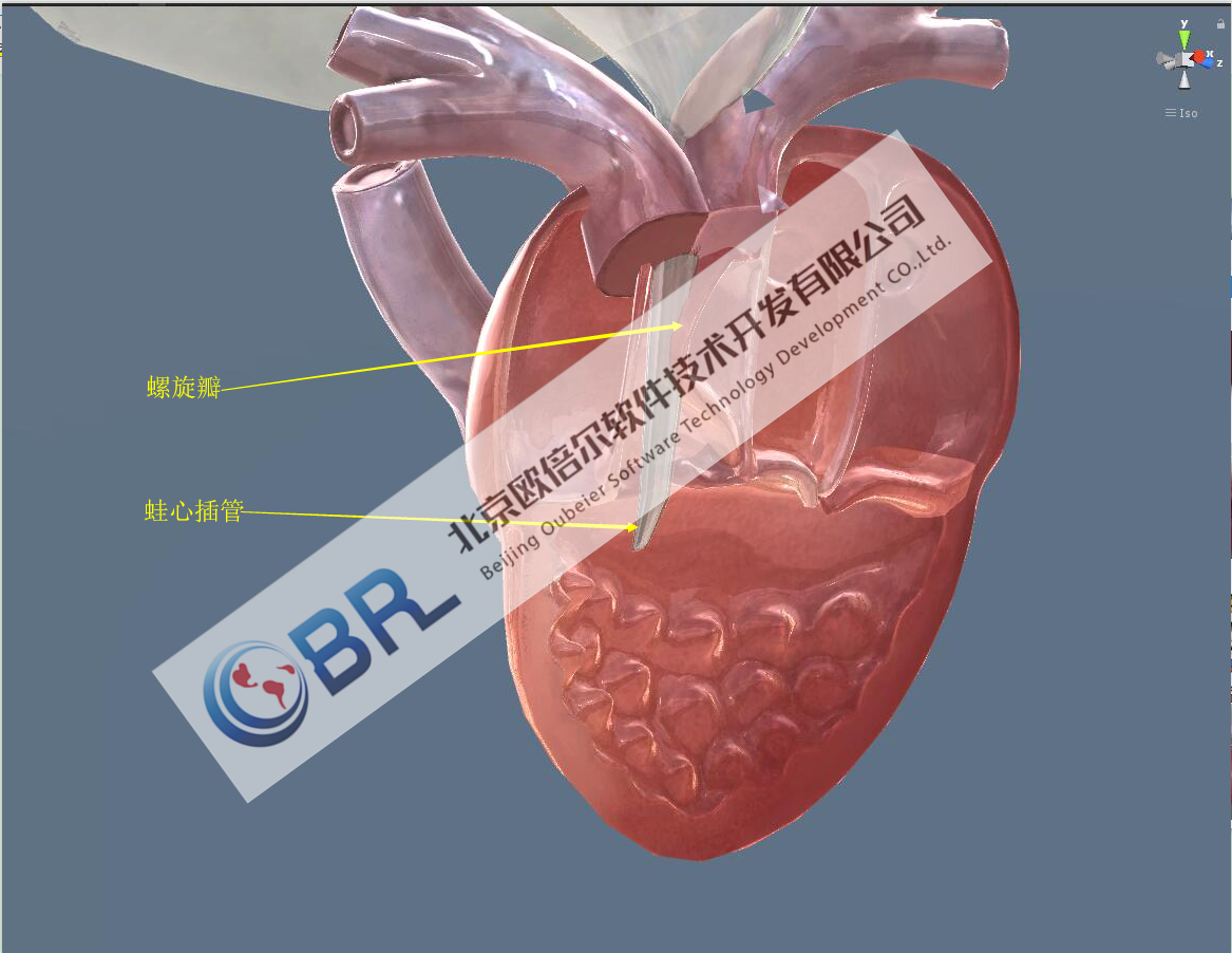 心脏电生理3D生物学虚拟仿真实验室软件