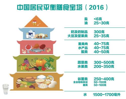 膳食分析与营养配餐虚拟仿真软件