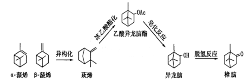 合成樟脑生产装置半实物仿真工厂